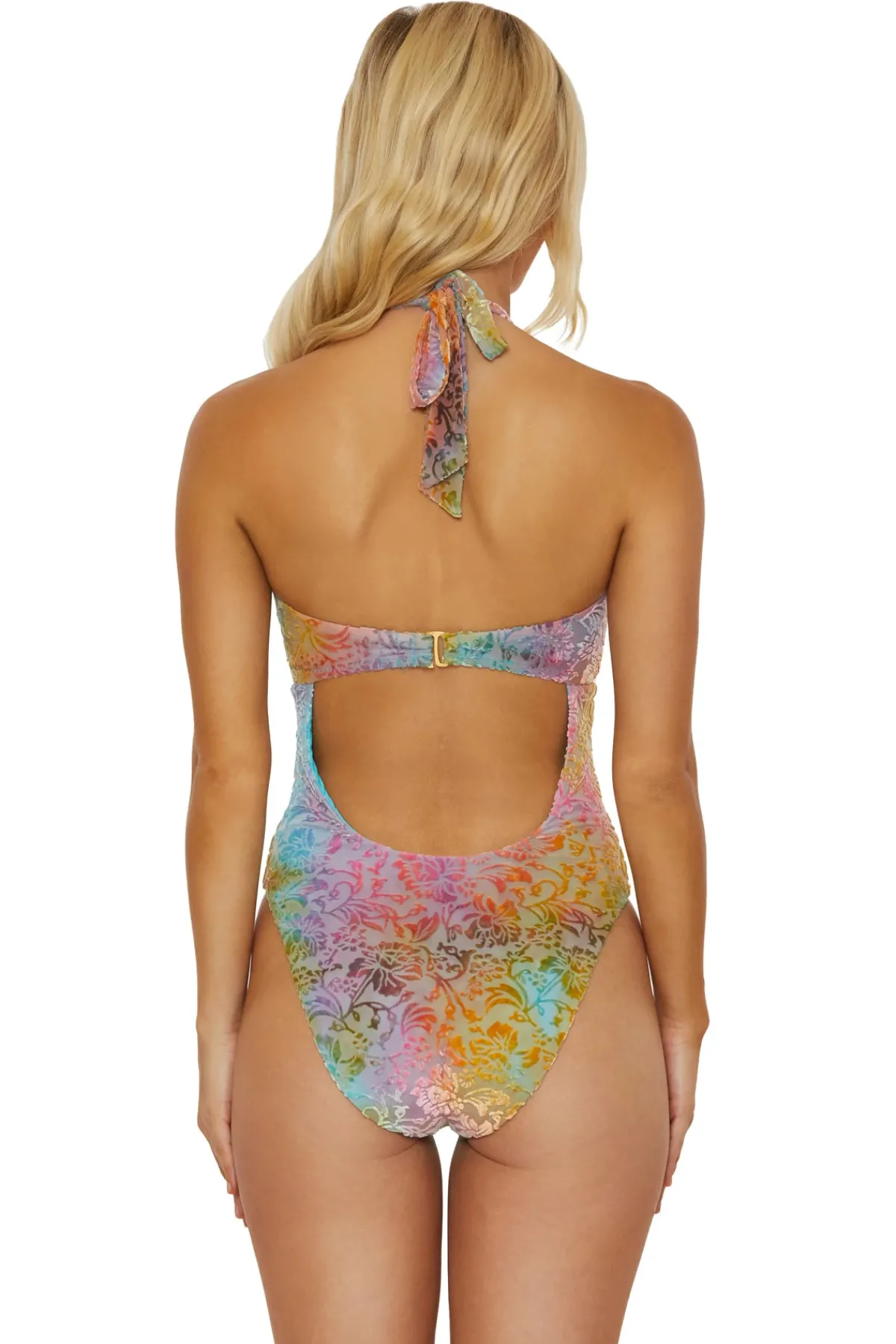 Isabella Rose Monokini / Cut Out|High Leg-Ombre Burnout One Piece Swimsuit