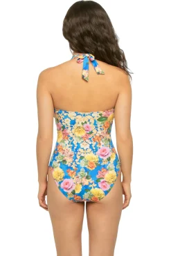 Johnny Was Halter|Plunge-Pauline Halter One Piece Swimsuit