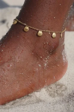 Ellie Vail Jewelry-Regina Shell Anklet