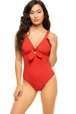 Karla Colletto Plunge|One Pieces-Underwire One Piece Swimsuit