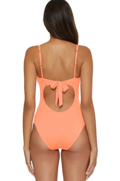 Becca by Rebecca Virtue Plunge|One Pieces-Viviana V-Front One Piece Swimsuit
